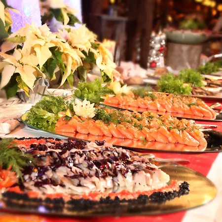 Scandic Pohjanhovi 4* روفانييمي